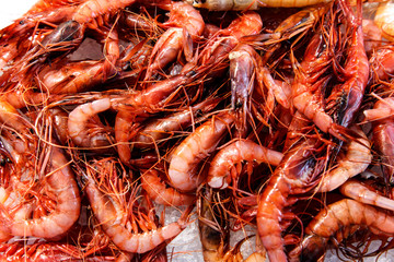 Shrimps