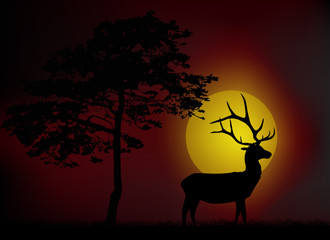 pine and deer silhouettes at red sunset