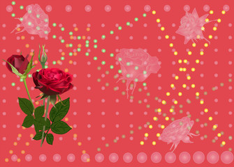 dark rose flowers on red background