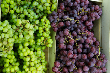 grapes