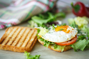 fried egg
