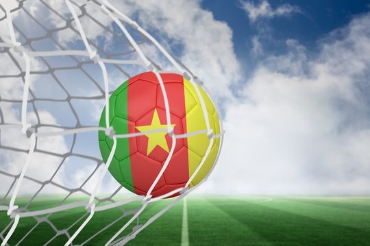 Football in cameroon colours at back of net