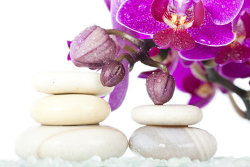 Spa stones and pink orchid