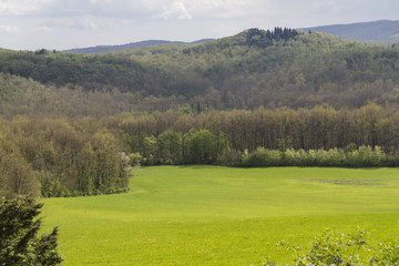 Obraz premium hilly landscape