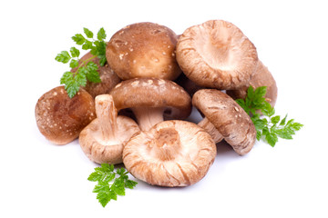 Shiitake mushrooms