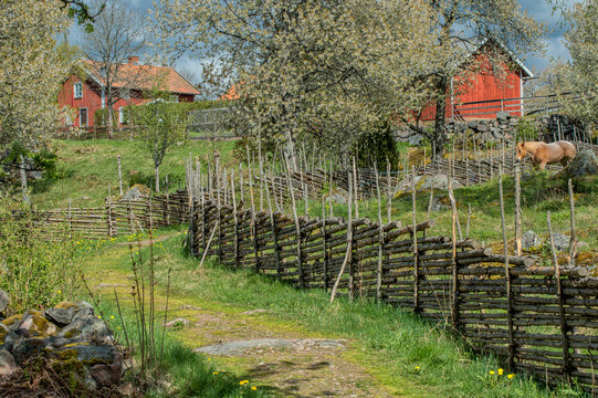 Idyllic Sweden at springtime - early May in Sm&aring;land