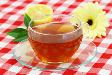 Cup of tea, lemon and cream gerbera daisy