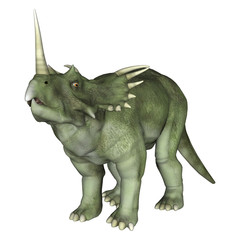 Dinosaur Styracosaurus