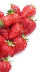 fragole_ sfondo bianco