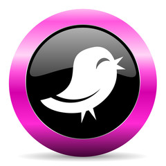 twitter pink glossy icon