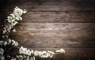 Flowers on wood texture background with copyspace