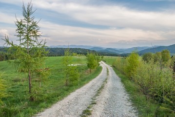Fototapeta premium A gravel pathway in Bieszczady Mountains, Poland