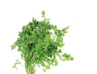 Bunch of parsley on a white.