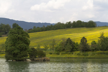 Obraz premium landscape lake