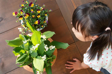 スズランを観察する子供