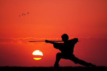 kung fu