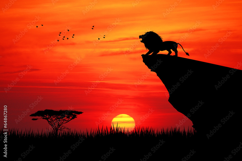 Poster lion on rope at sunset