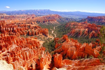 View over the hoodoos of Bryce Canyon National Park, USA - obrazy, fototapety, plakaty