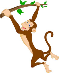 cute monkey hanging