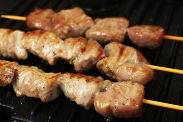 Pork kebab on grill close up