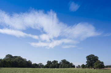  field