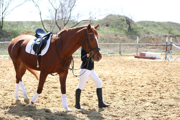 Fototapeta premium Beautiful girl with horse outdoors