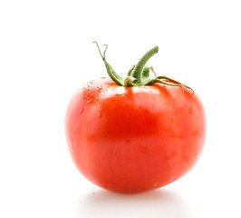 Tomato isolated on white