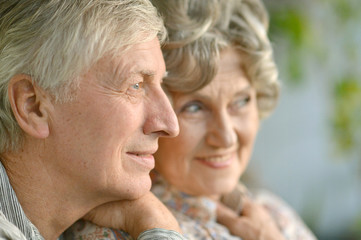 Portrait of a happy senior couple