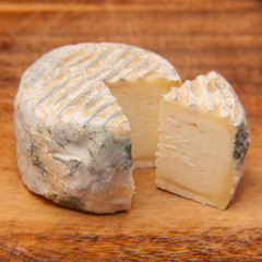 Crottin de chavignol French goats cheese