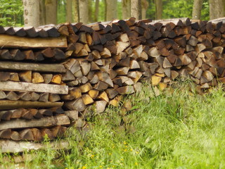 Holzstapel