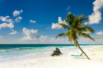 Fototapeta na wymiar plage paradisiaque de sable blanc et cocotier par une journée ensoleillée