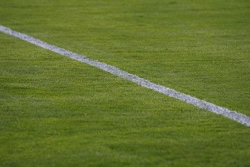 Soccer field with white lines on grass