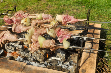 Cooking meat on skewers over the coals.