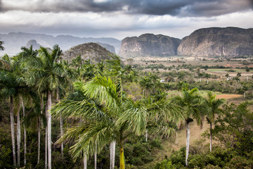 The valley of Vinales in Cuba UNESCO World Heritage - 64876848