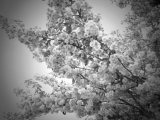 Beileidskarte - Hintergrund