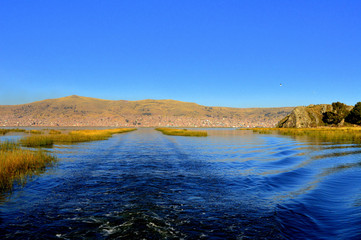 Obraz premium Estela del barco entre totoras y vista de Puno. Perú