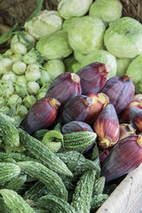 Fototapeta na wymiar Fresh vegetables on the market
