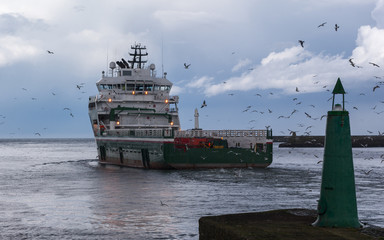 Supply Ship and Feeding Gulls