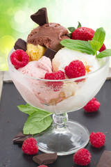 cup of fresh icecream