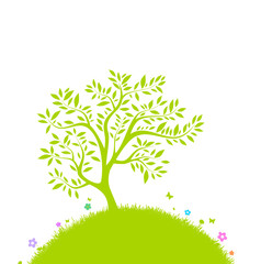 Obraz premium Grüner Laubbaum