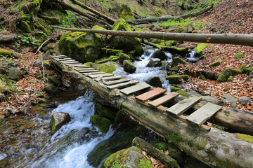 wooden bridge over mountain brook