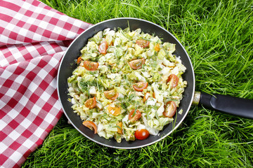 Fried cabbage in frying pan on green grass