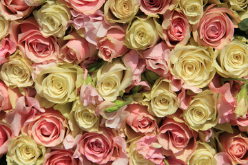 White and pink roses in wedding arrangement