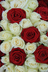 Red and white roses in a wedding arrangement
