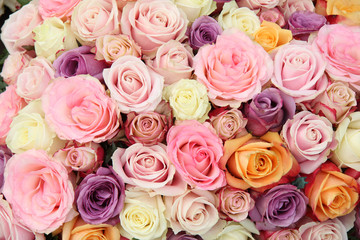 Pastel wedding roses