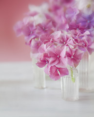 Shabby Chic Background with purple and pink flowers