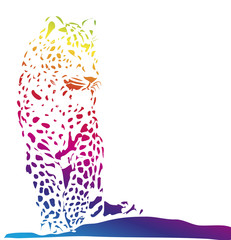 Isolated colorful jaguar on white background - illustration