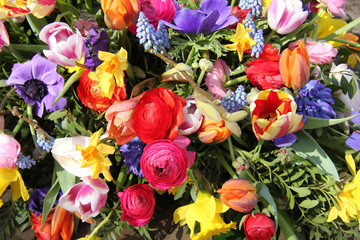 Obraz na płótnie Canvas Colorful spring flowers