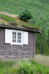 Typical Norwegian house with grass on the rooftop