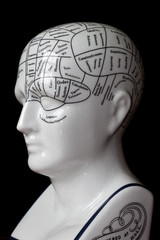 Phrenology head.